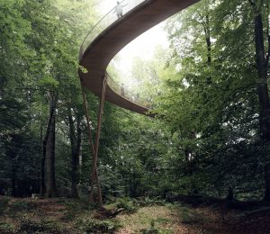 The Treetop Experience Dinamarca 1