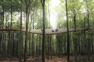 The Treetop Experience Dinamarca 2
