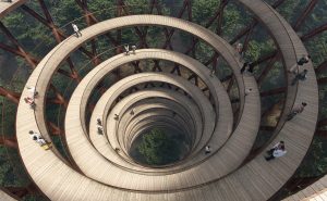 The Treetop Experience Dinamarca