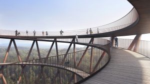 The Treetop Experience Dinamarca 4