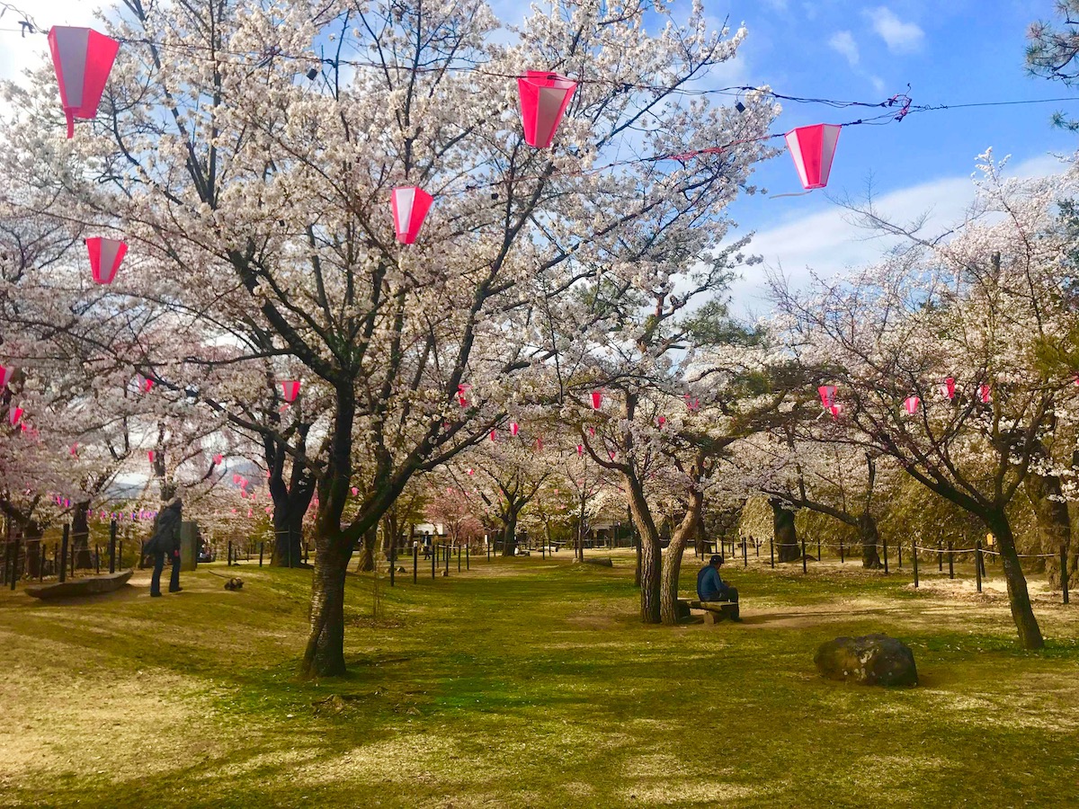 Primavera en Japón