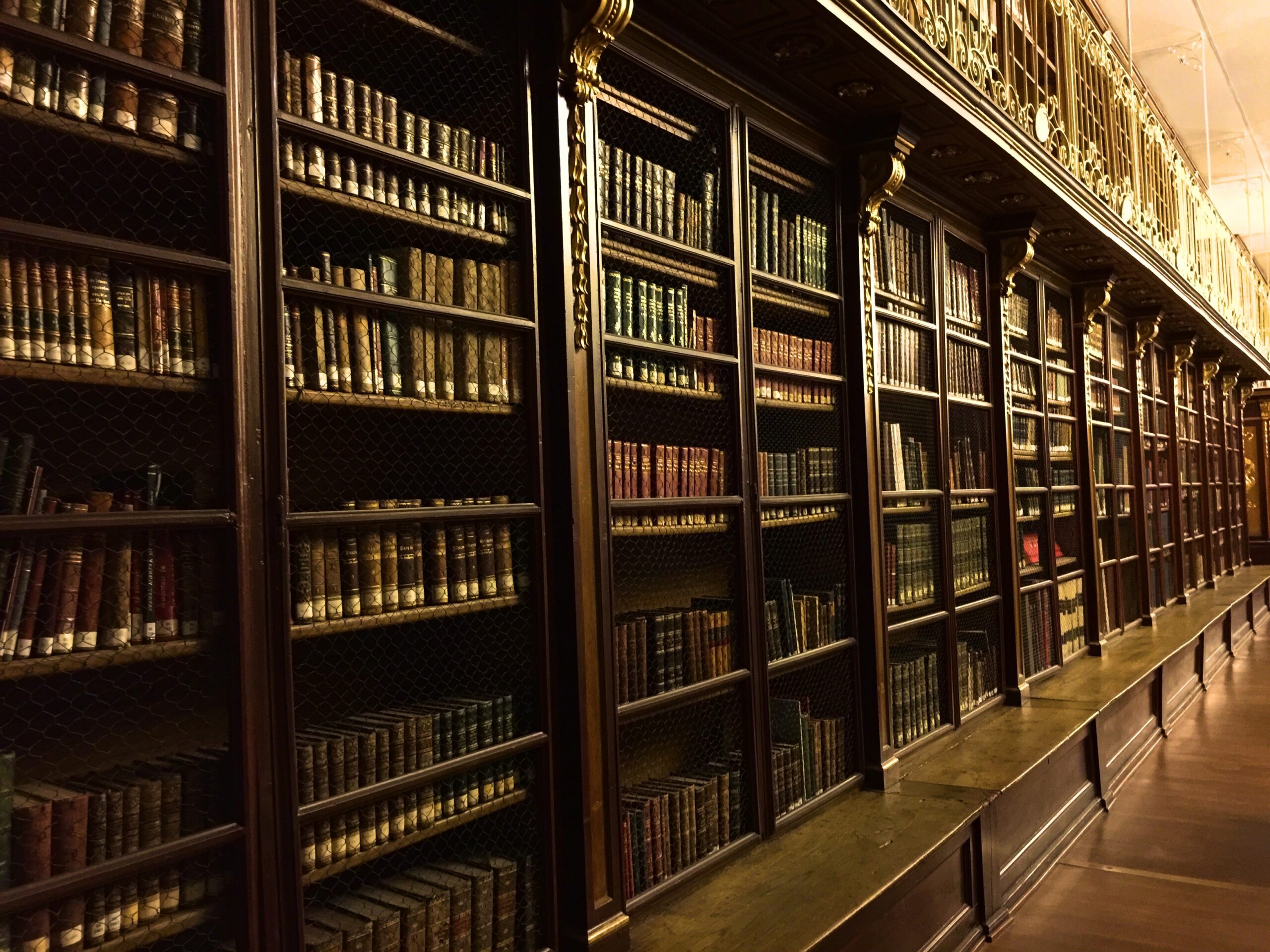 Enamórate de las bibliotecas de Santiago. Fotografía de Elena Ortega