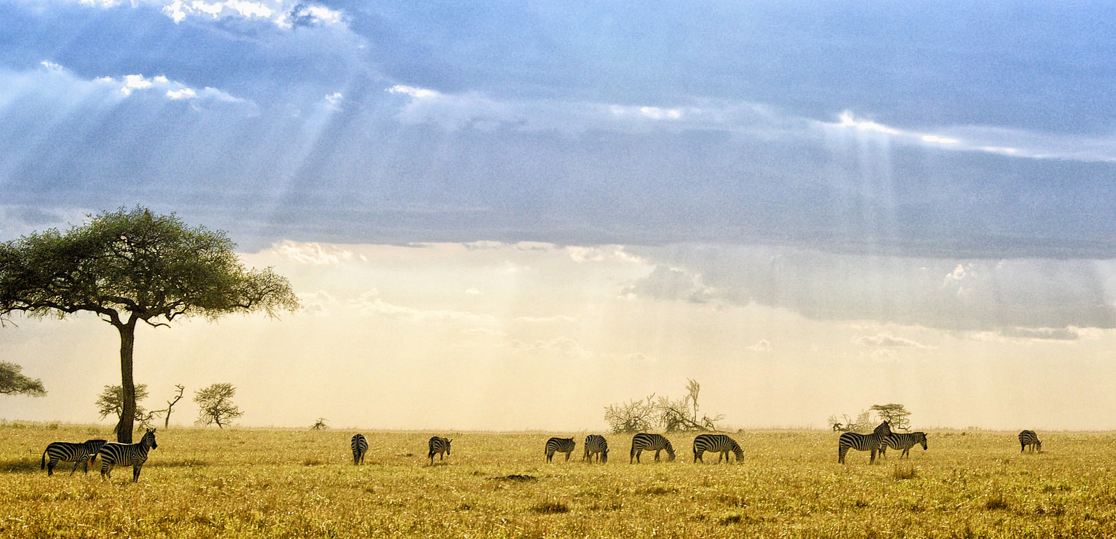 Pasar la noche en el Masai Mara, una experiencia de vida