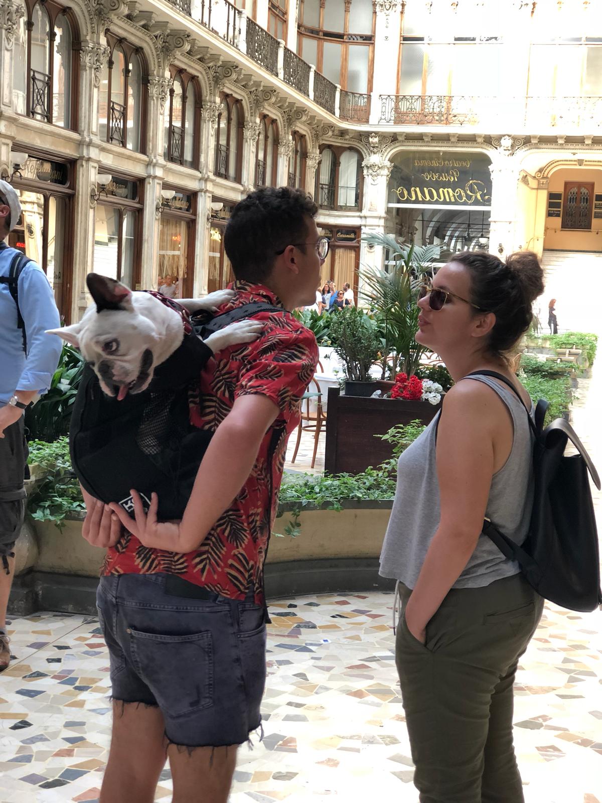 Los bolsos para perros son una buena estrategia para hacer paseos más largos