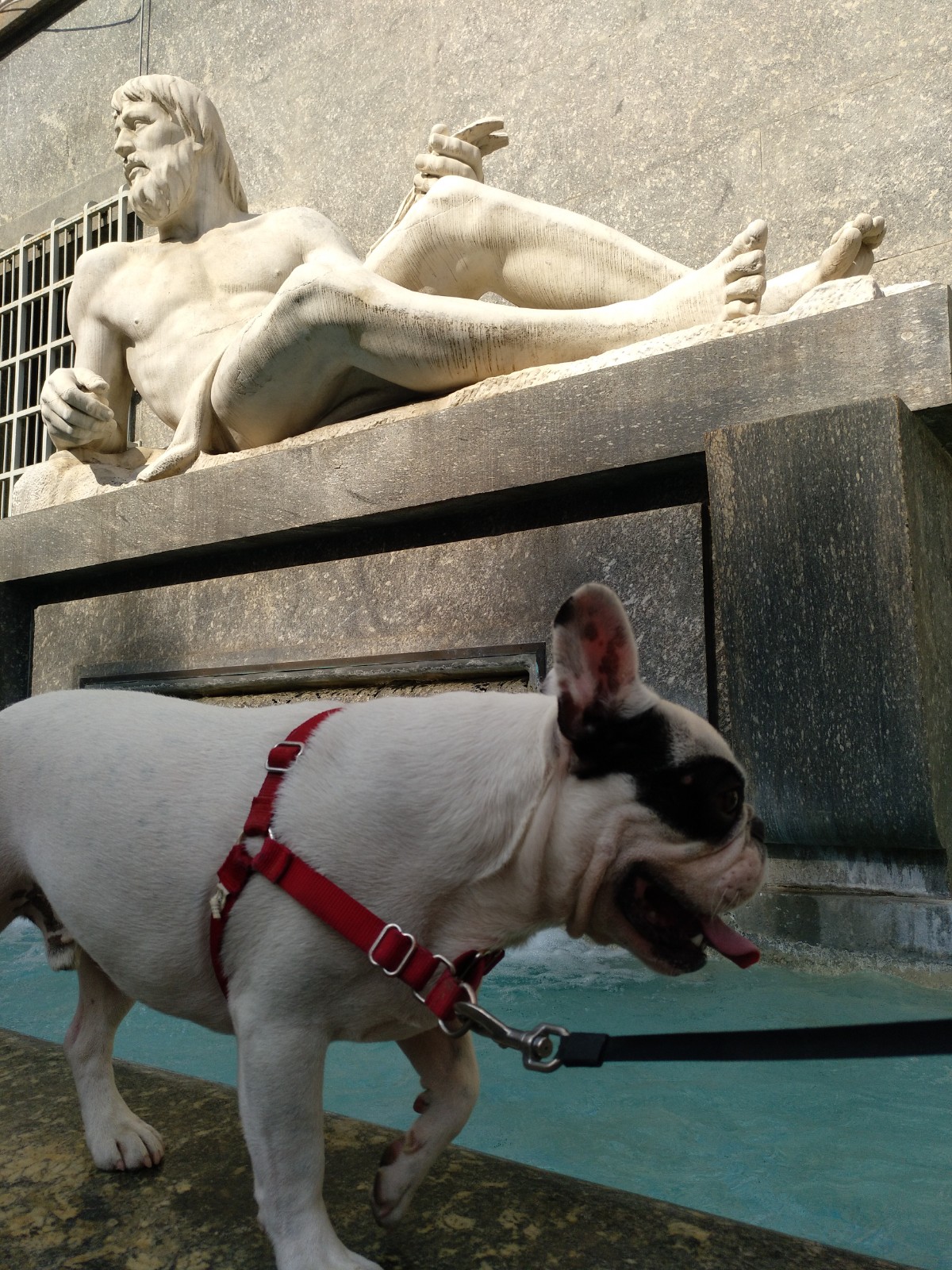 Rocco en la Piazza San Carlo