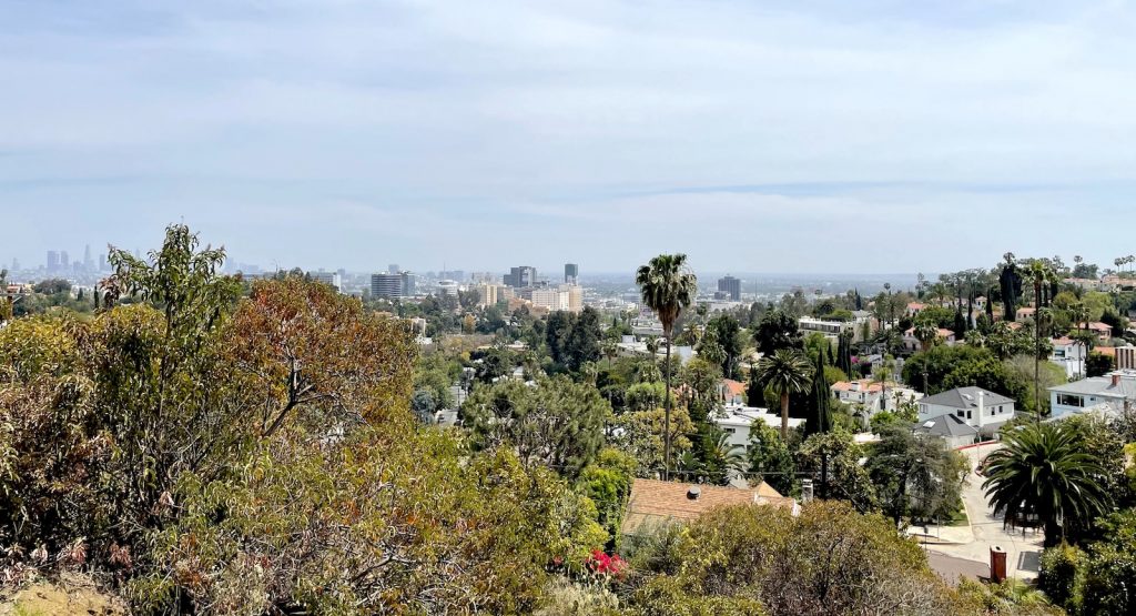 Hollywood Hills