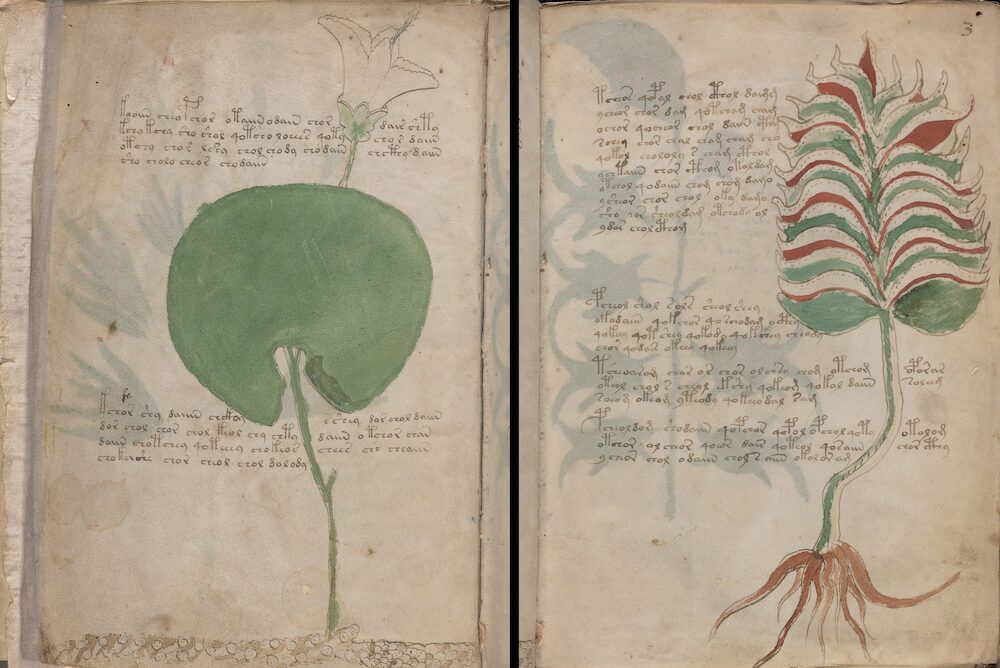 manuscrito voynich 2