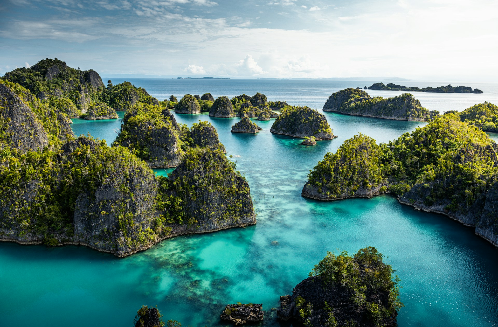 raja ampat, santuarios de biodiversidad raja ampat, santuarios de biodiversidad