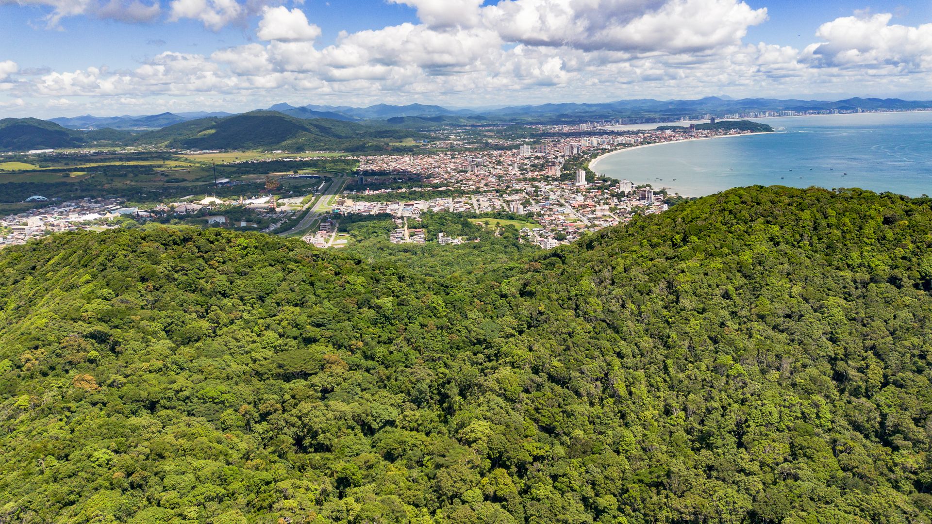 deforestación-mata-atlántica