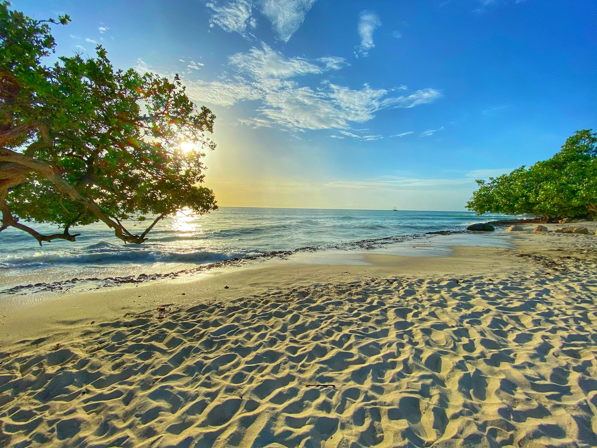 reserva de la biosfera aruba