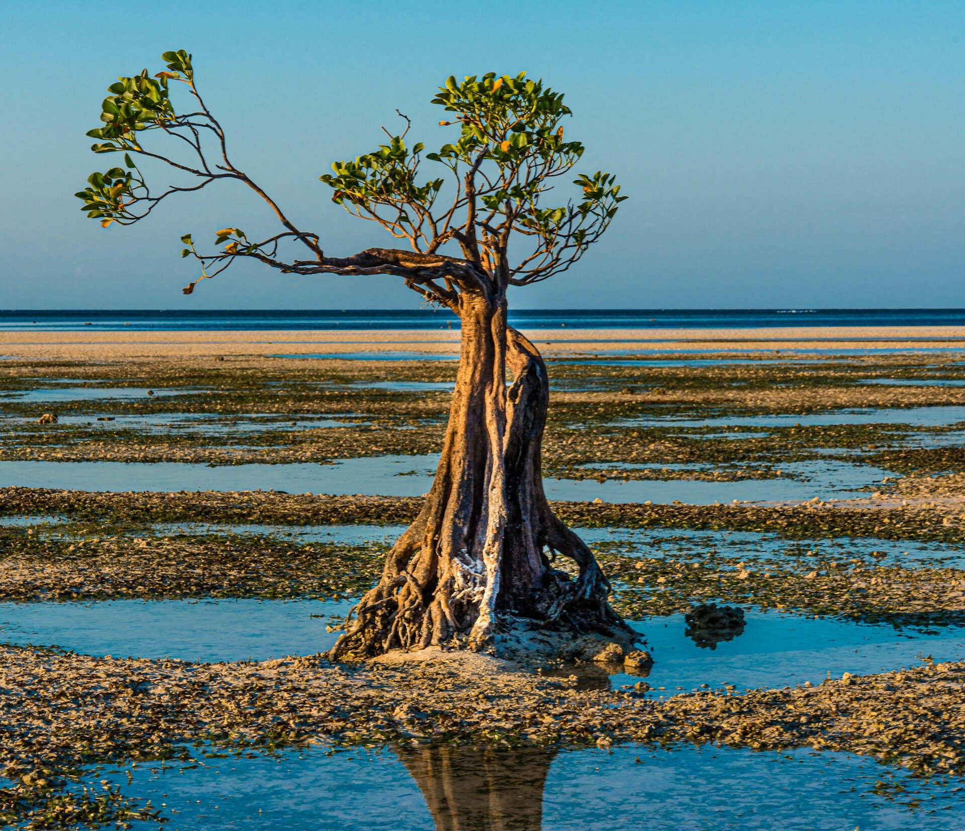 Walakiri Beach