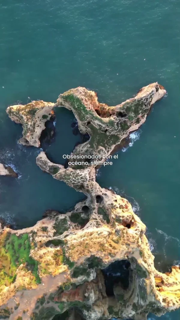 Obsesionados con el océano, siempre 💙🌊