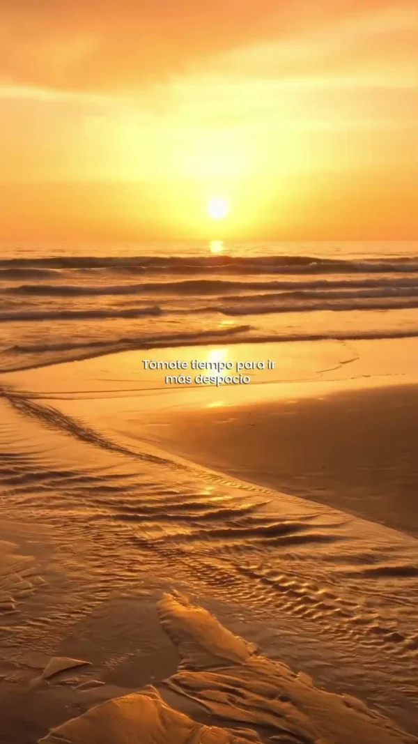 Haz una pausa. Respira. Conecta con el presente #slowdown #respiracionconsciente #calm
